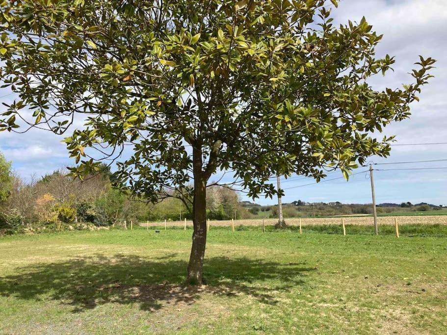 Gite Ty Guen A Paimpol Exterior foto